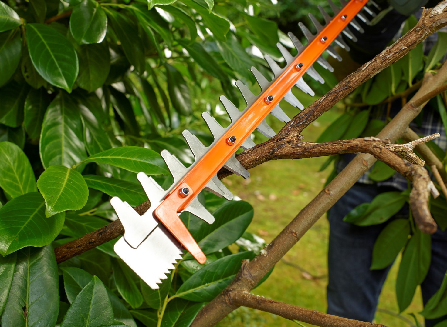 BLACK & DECKER BEHTS401-QS Hedge Trimmer, 500 W, 55 cm