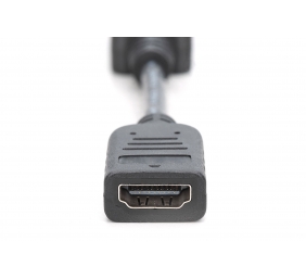 Digitus | DisplayPort Adapter/Converter | AK-340400-001-S