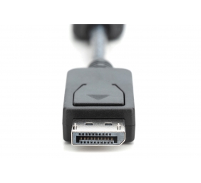 Digitus | DisplayPort Adapter/Converter | AK-340400-001-S