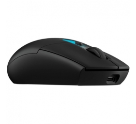 Logitech G305 X SUPERLIGHT Belaidė žaidimų pelė RF Wireless + Bluetooth, 44000 DPI, Juoda