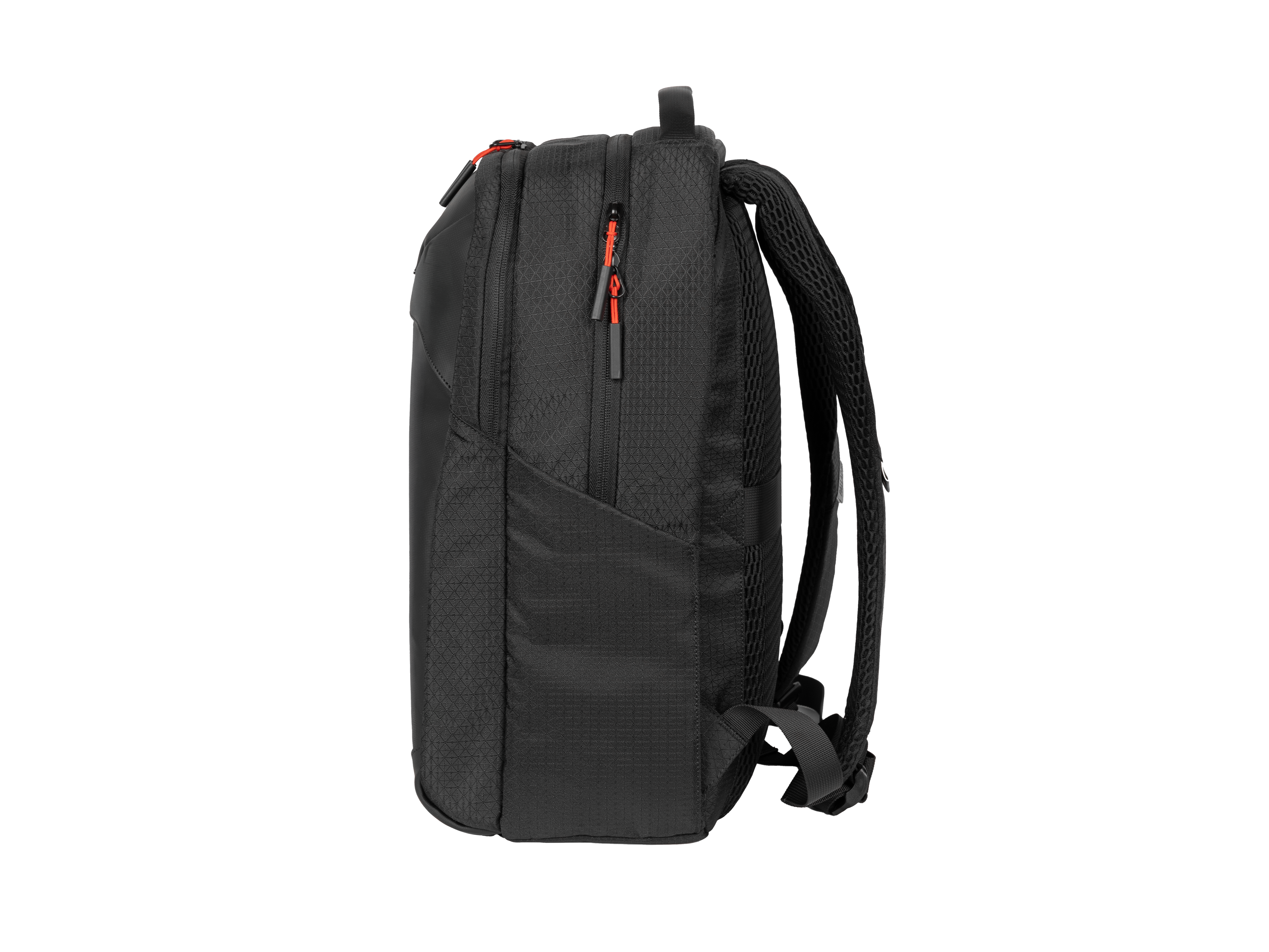 Genesis Pallad 480 | Fits up to size 16 " | Backpack | Shoulder strap | Black