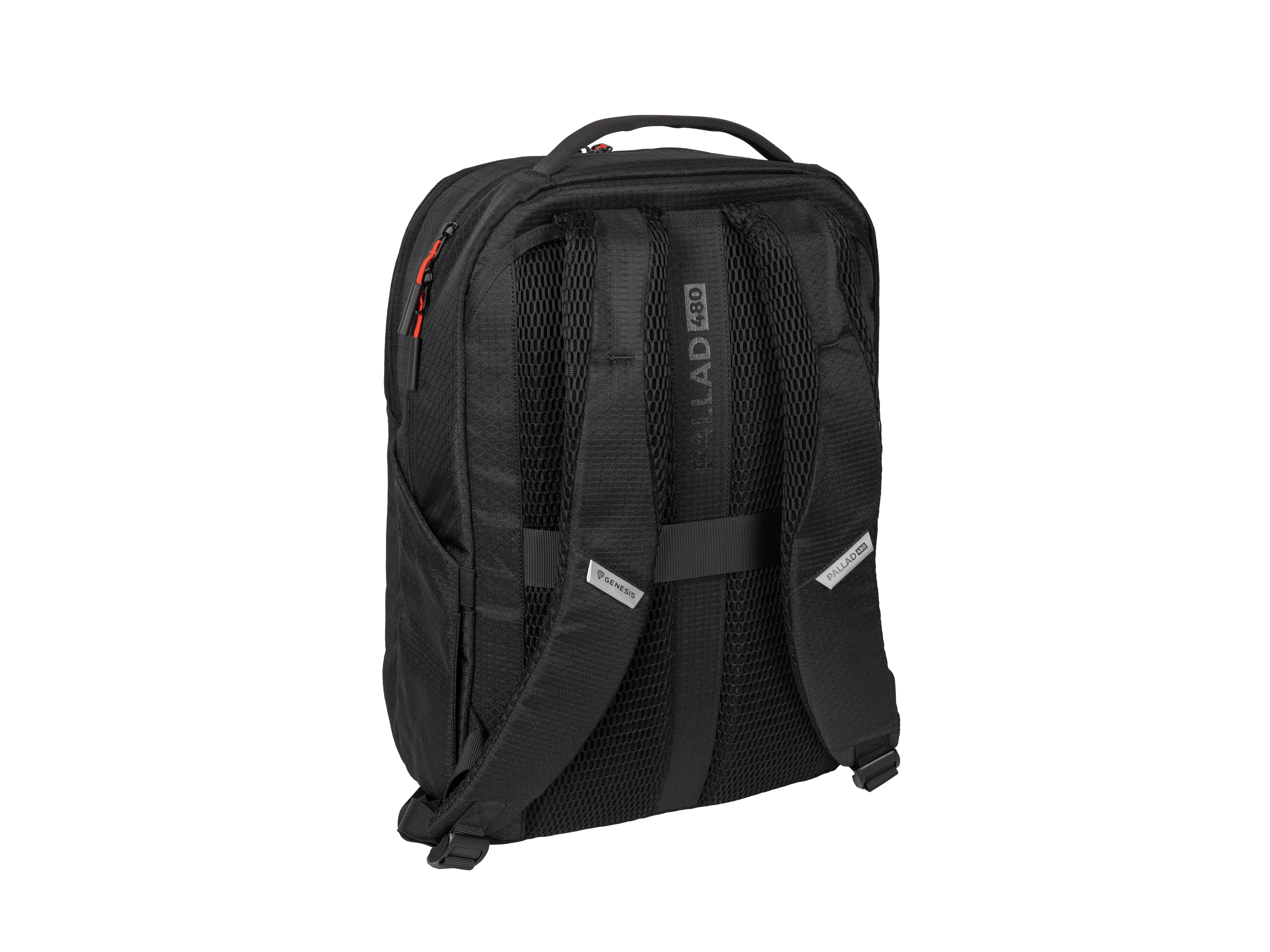 Genesis Pallad 480 | Fits up to size 16 " | Backpack | Shoulder strap | Black
