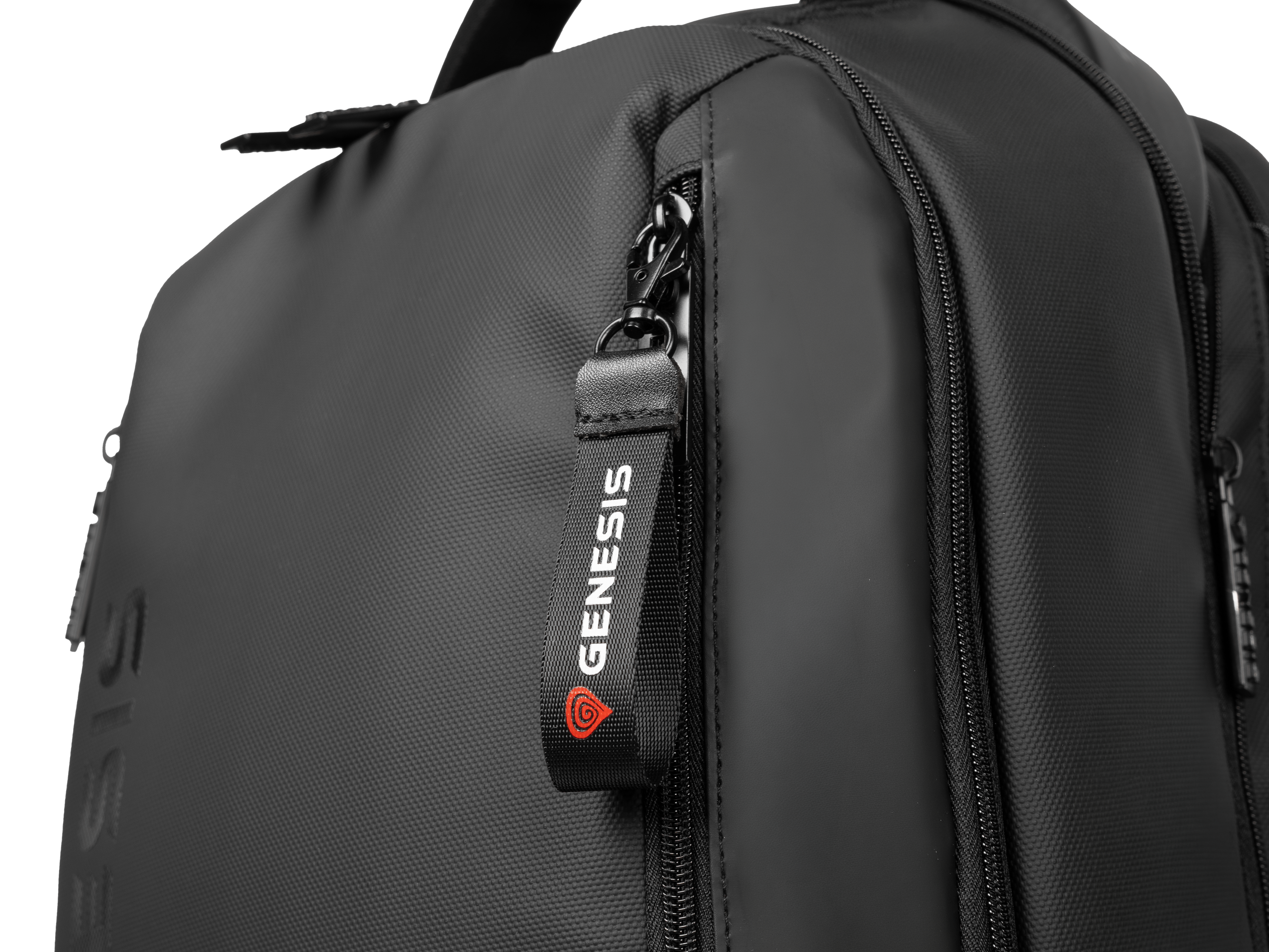 Genesis Pallad 510 | Fits up to size 17.3 " | Backpack | Shoulder strap | Black