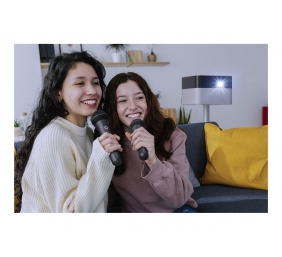 Epson Wireless Karaoke Microphone Pair | ELPKM01