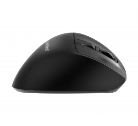 Gembird Triple-mode mouse | MUSW3-9B-01 | Wireless | 2.4G, Bluetooth | Black