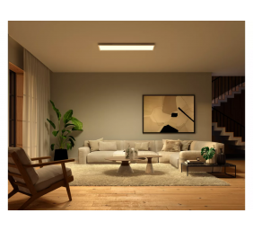 Philips Hue Surimu rectangular panel light, 120 x 30 cm | 2000-6500 Hue White Color Ambiance | Bluetooth, Zigbee