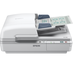 Epson | WorkForce | DS-6500 | Flatbed and ADF | Business Scanner