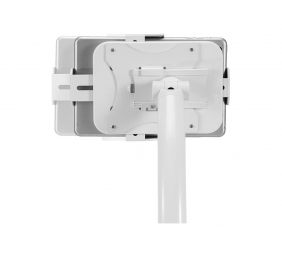 Neomounts Floor stand | FL15-625WH1 | Tilt, Rotate | 7.9- 11 " | Maximum weight (capacity) 1 kg | White