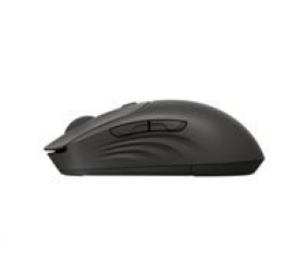 HP 405 Quiet BLK Wireless Mouse (EN)