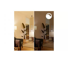 Philips Smart WFB 40W P45 922-65 RGB 1PF/6 | E27 | 4.9 W | Warm to cool white light | Bluetooth, Wi-Fi