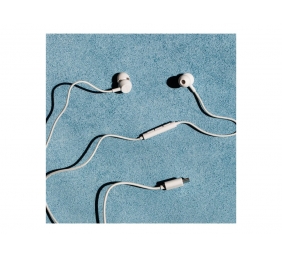 Sudio Earbuds | V3 | USB-C | In-ear | Microphone | Grey White