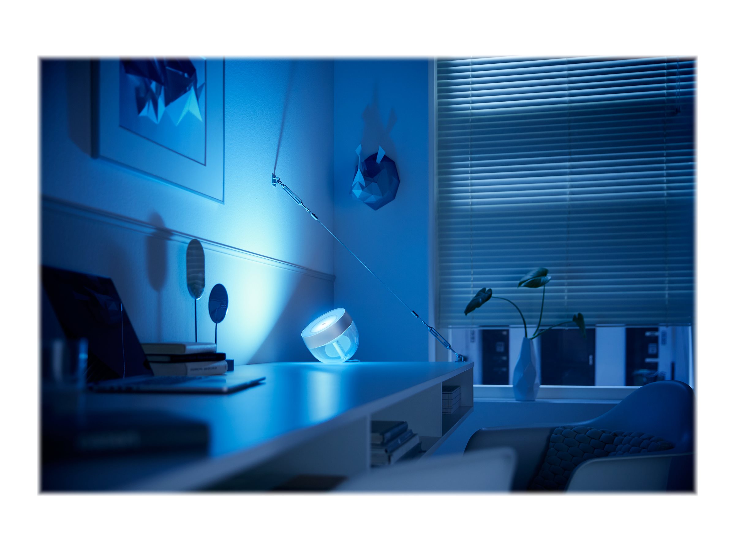 Philips Hue | Hue Iris Portable Lamp, Silver Special Edition | Silver | Portable lamp