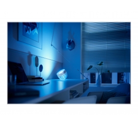 Philips Hue | Hue Iris Portable Lamp, Silver Special Edition | Silver | Portable lamp
