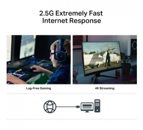 TP-Link TX201 2.5 Gigabit PCIe Tinklo adapteris