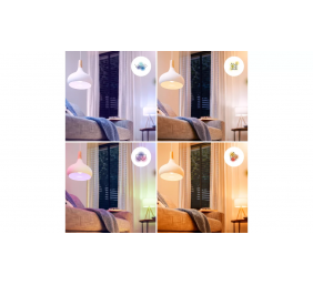 Philips Smart WFB 40W P45 922-65 RGB 1PF/6 | E27 | 4.9 W | Warm to cool white light | Bluetooth, Wi-Fi