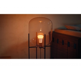 Philips Hue WCA 810 A60 2P EU | E27 | 6 W | White and colour light | Bluetooth and Zigbee