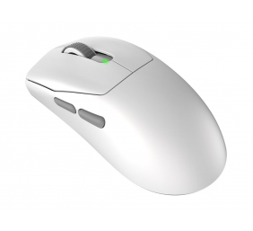 MSI Gaming Mouse | FORGE GM340 WIRELESS | Wireless | 2.4 GHz, Bluetooth, USB | White