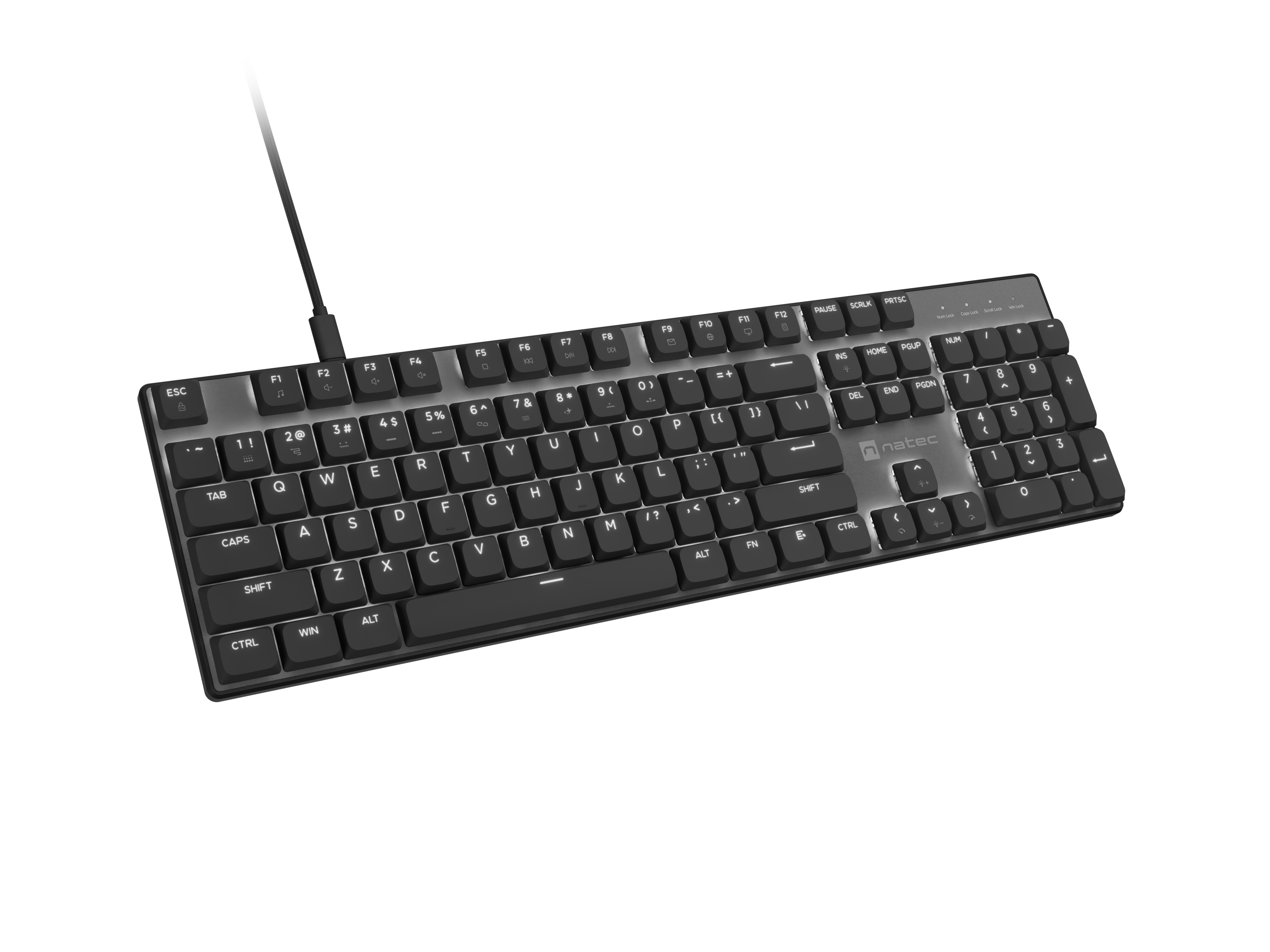 Natec Amberjack | Keyboard | Wired | US | Linear | White backlight, Hot-swappable switches, Anti-ghosting, Built-in memory, Macro recording | Black/Gray