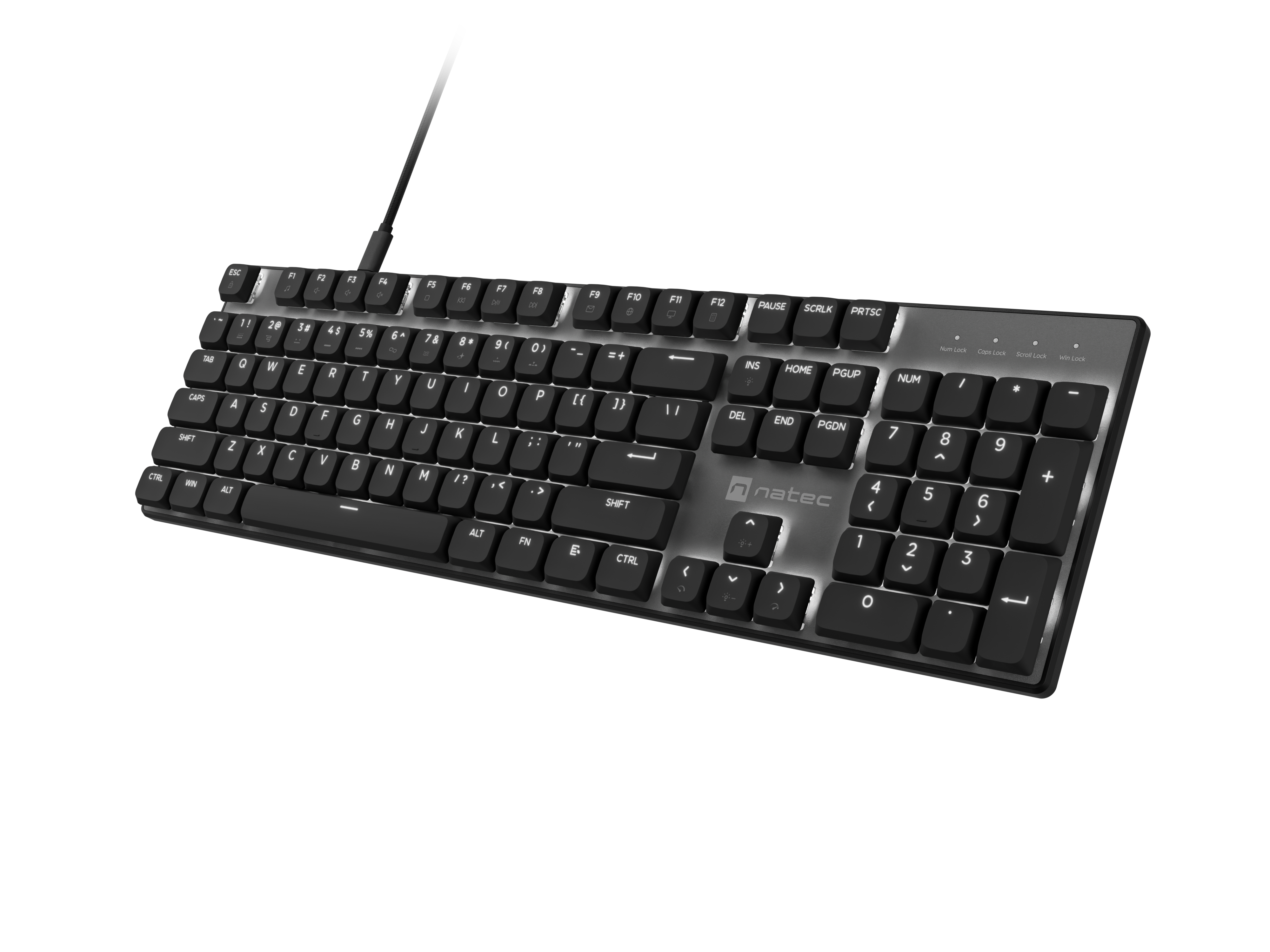 Natec Amberjack | Keyboard | Wired | US | Linear | White backlight, Hot-swappable switches, Anti-ghosting, Built-in memory, Macro recording | Black/Gray