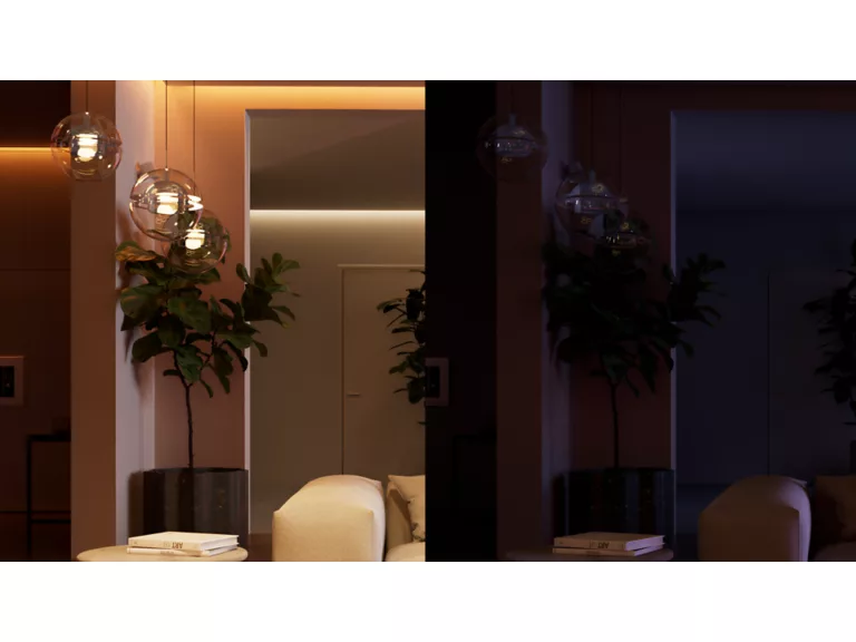 Philips Hue Wired switch 6A 2C EU | Bluetooth, Zigbee