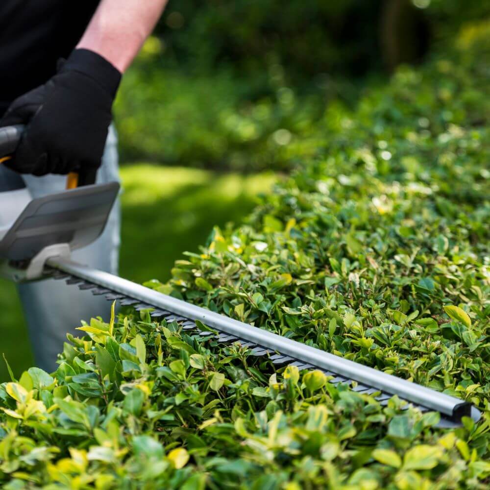 Batavia B.V. | 18V Cordless Hedge Trimmer 560mm | Trimmer