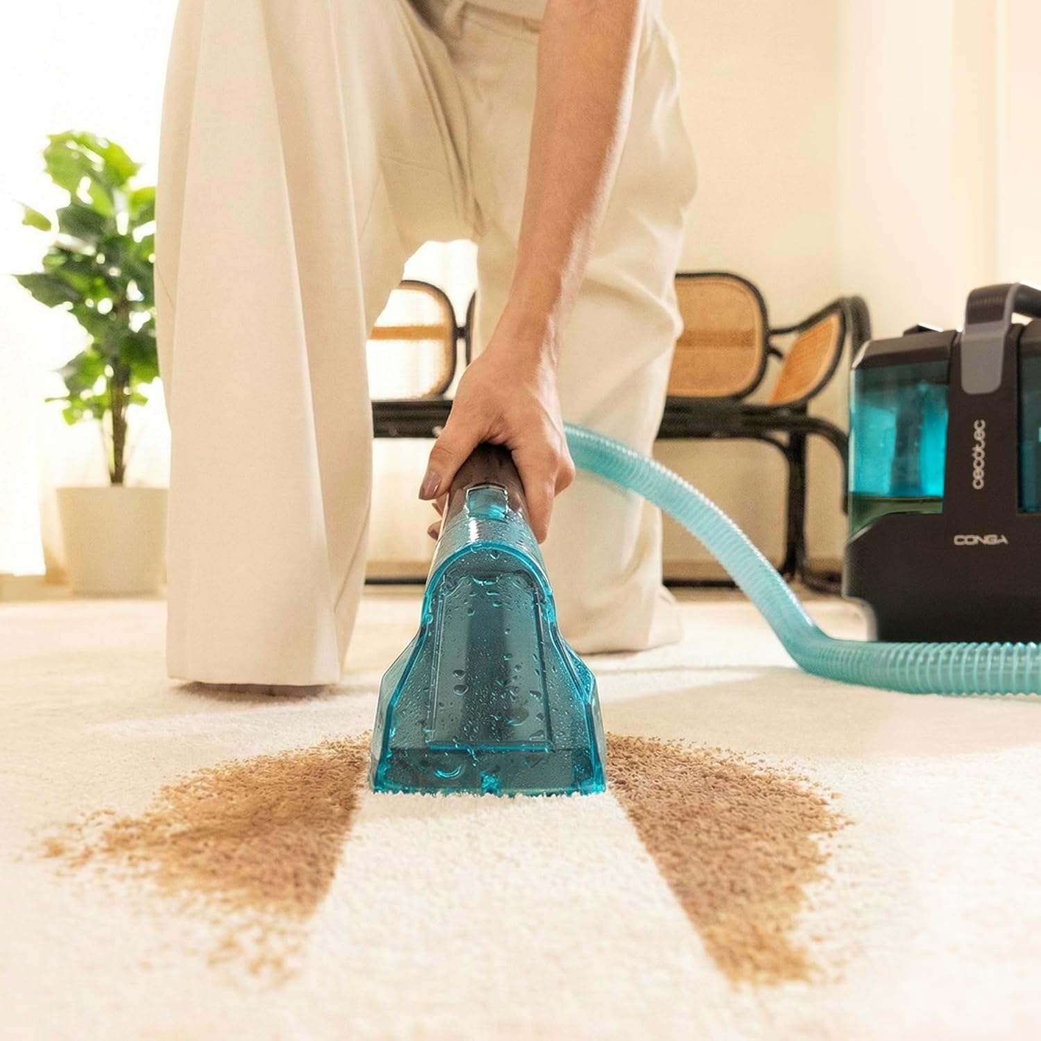 Cecotec Upholstery Cleaner | Conga 3000 Carpet&Spot Clean Max | 450 W