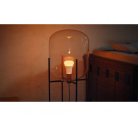 Philips Hue WCA 1100 A60 1P EU | E27 | 8.1 W | White and colour light | Bluetooth and Zigbee