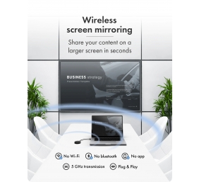 Raidsonic Wireless USB-C to HDMI Video Transmission System | IB-WL101