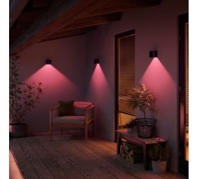 Philips Hue WCA Resonate Outdoor Downward Wall Lantern, Black | 8 W | 2000-6500 Hue White Colour Ambiance