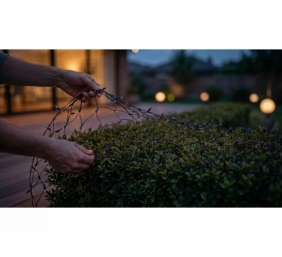 Philips Hue Festavia Net Lighting, 1 x 3.5 m, 250 LEDs, EU | White and color | Bluetooth, Zigbee