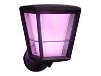 Philips Hue WCA Econic Outdoor Wall Lantern Up | 15 W | 2000-6500 Hue White Colour Ambiance