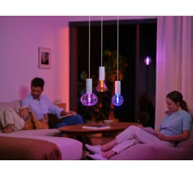 Philips Hue WCA Lightguide G125 | E27 | 6.8 W | White and colour light