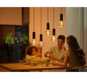 Philips Hue WCA Lightguide G125 | E27 | 6.8 W | White and colour light
