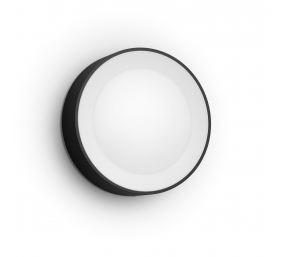Philips Hue WCA Daylo Outdoor Wall Lantern, Black | 15 W | 2000-6500 Hue White Colour Ambiance