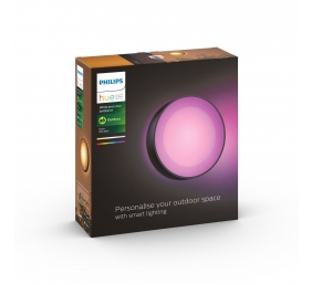Philips Hue WCA Daylo Outdoor Wall Lantern, Black | 15 W | 2000-6500 Hue White Colour Ambiance