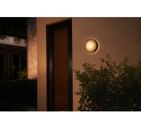 Philips Hue WCA Daylo Outdoor Wall Lantern, Black | 15 W | 2000-6500 Hue White Colour Ambiance
