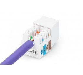 Class E CAT 6 Keystone Jack | DN-93601 | Unshielded RJ45 to LSA | Cable installation via LSA strips, color coded according to EIA/TIA 568 A & B; The Cat 6 keystone module supports transmission speeds of up to 1 GBit/s & 250 MHz in connection with cat 6 or