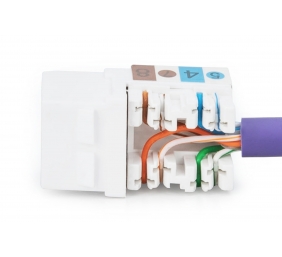 Class E CAT 6 Keystone Jack | DN-93601 | Unshielded RJ45 to LSA | Cable installation via LSA strips, color coded according to EIA/TIA 568 A & B; The Cat 6 keystone module supports transmission speeds of up to 1 GBit/s & 250 MHz in connection with cat 6 or