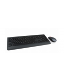 Lenovo | Professional | Professional Wireless Keyboard and Mouse Combo - US English with Euro symbol | Keyboard and Mouse Set | Wireless | Mouse included | US | Black | US English | Numeric keypad | Wireless connection