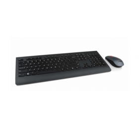 Lenovo | Professional | Professional Wireless Keyboard and Mouse Combo - US English with Euro symbol | Keyboard and Mouse Set | Wireless | Mouse included | US | Black | US English | Numeric keypad | Wireless connection