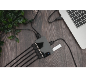 Digitus | USB 2.0 Hub 10-port | DA-70229