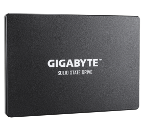 Gigabyte | GP-GSTFS31256GTND | 256 GB | Solid-state drive interface SATA | Read speed 520 MB/s | Write speed 500 MB/s