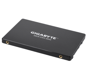 Gigabyte | GP-GSTFS31256GTND | 256 GB | Solid-state drive interface SATA | Read speed 520 MB/s | Write speed 500 MB/s