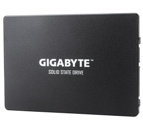Gigabyte | GP-GSTFS31256GTND | 256 GB | Solid-state drive interface SATA | Read speed 520 MB/s | Write speed 500 MB/s
