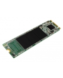 Silicon Power | A55 | 256 GB | Solid-state drive interface M.2 SATA | Read speed 550 MB/s | Write speed 450 MB/s