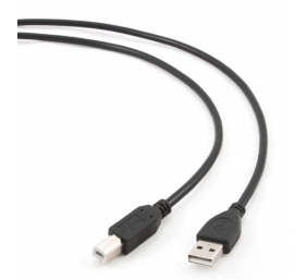 Cablexpert | CCP-USB2-AMBM-6 | USB-A to USB-B USB A | USB B