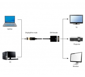 Cablexpert | Adapter Cable | DP to DVI-D | 0.1 m