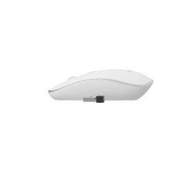 Gembird | MUSW-4B-01-W | Standard | White