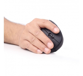 Gembird | MUSW-ERGO-01 | 2.4GHz Wireless Optical Mouse | Optical Mouse | USB | Black