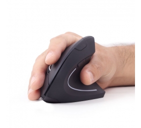 Gembird | MUSW-ERGO-01 | 2.4GHz Wireless Optical Mouse | Optical Mouse | USB | Black